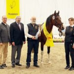 Excalibur vom Kreiswald Hartungshof Mangalarga Marchador