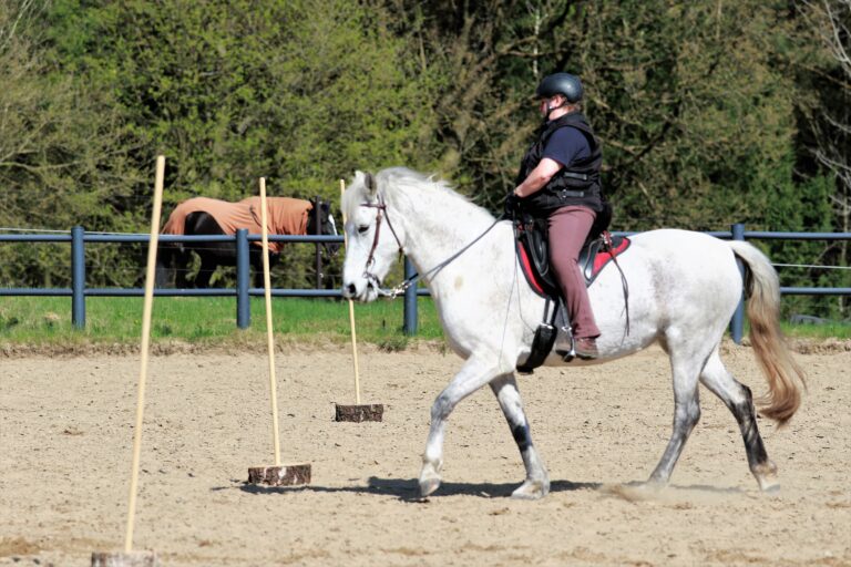 Working Equitation mit Luna