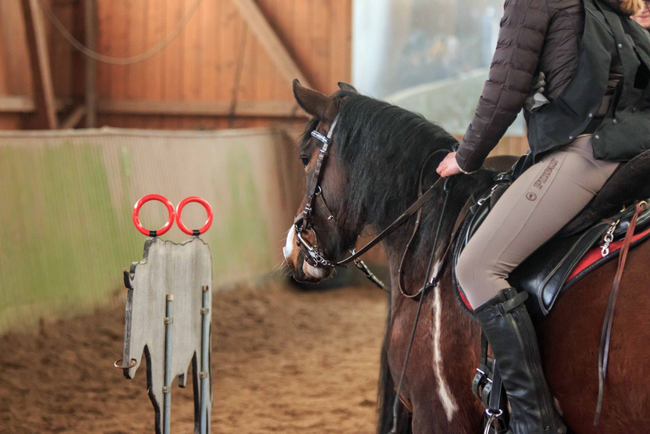 Working Equitation Trail Mangalarga Marchadores