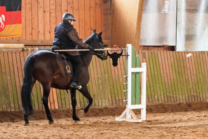 Working Equitation Trail Mangalarga Marchadores