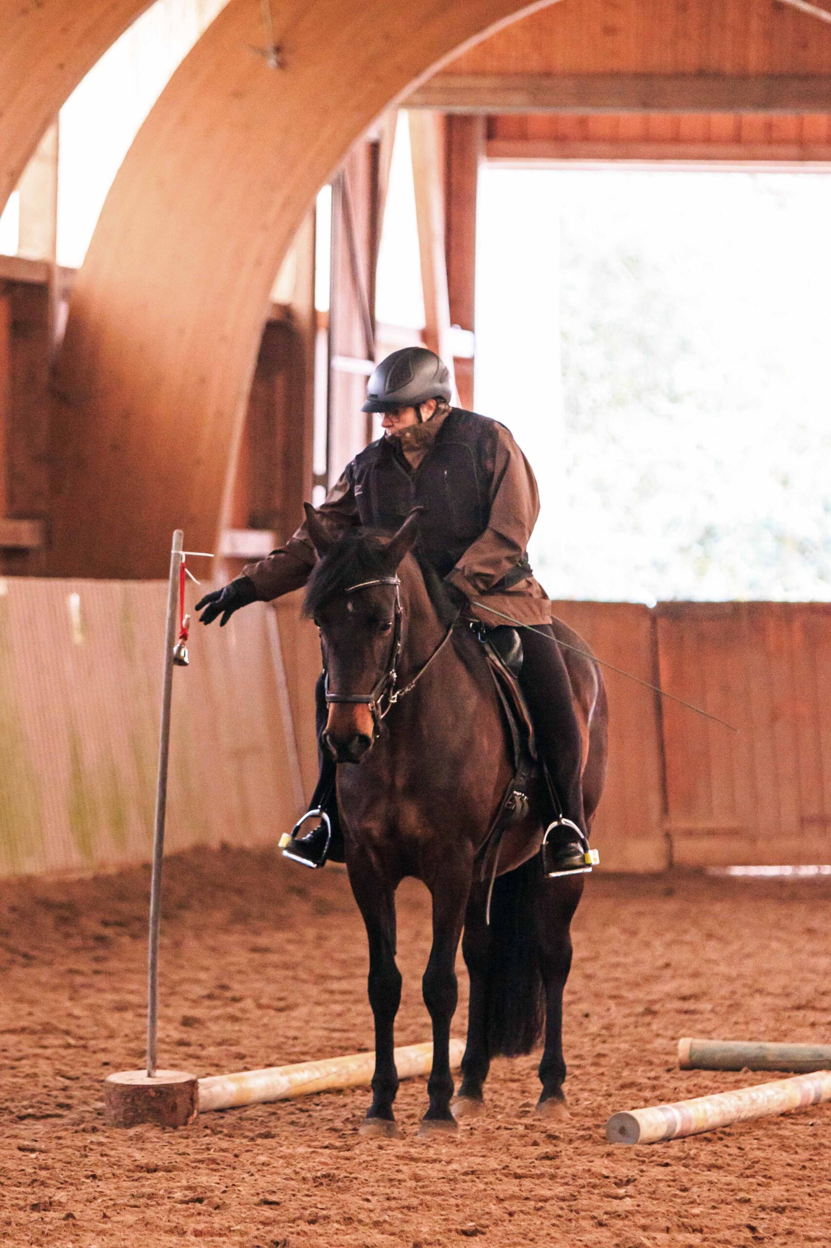 Working Equitation Trail Mangalarga Marchadores