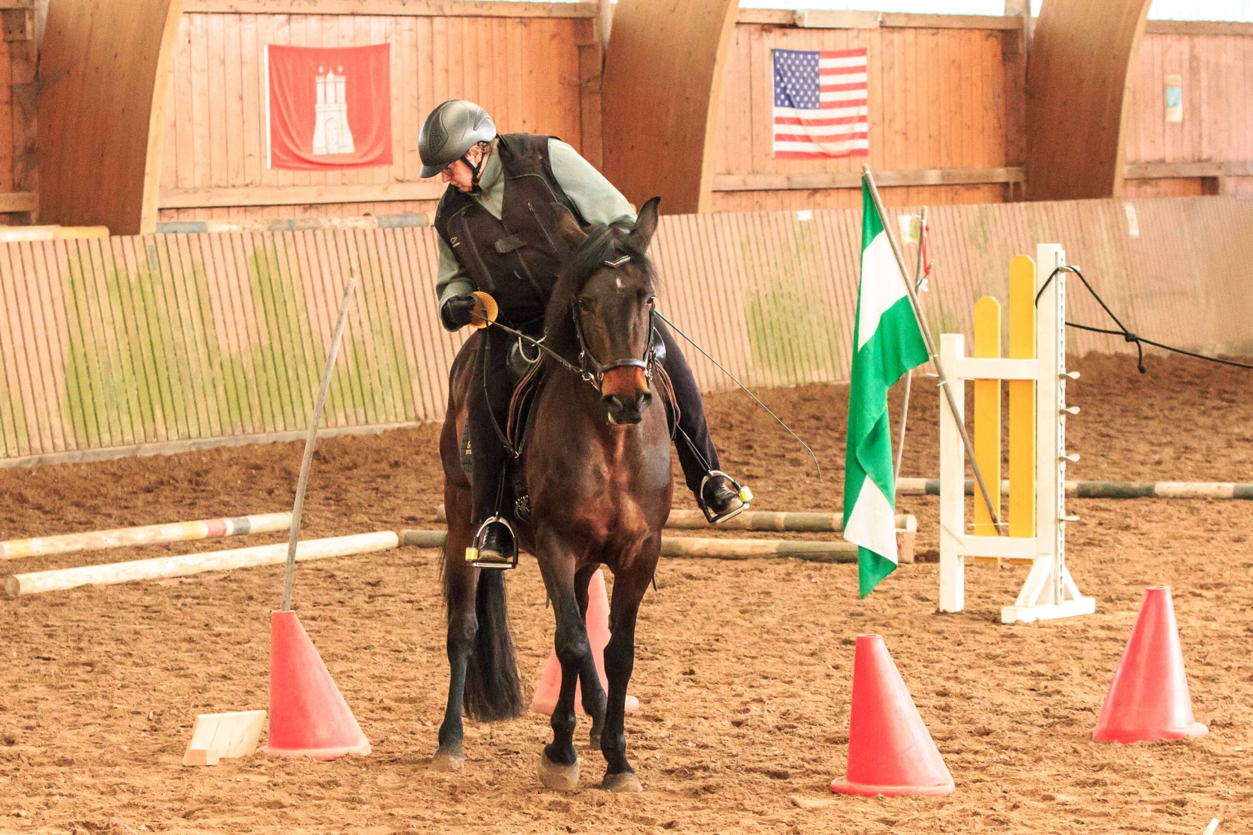 Working Equitation Trail Mangalarga Marchadores