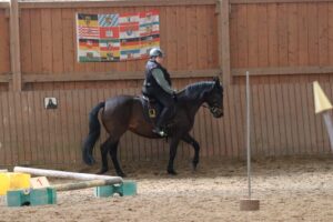 Working Equitation Trail Mangalarga Marchadores