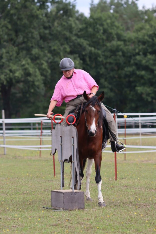 Working Equitation Mangalarga Marchador