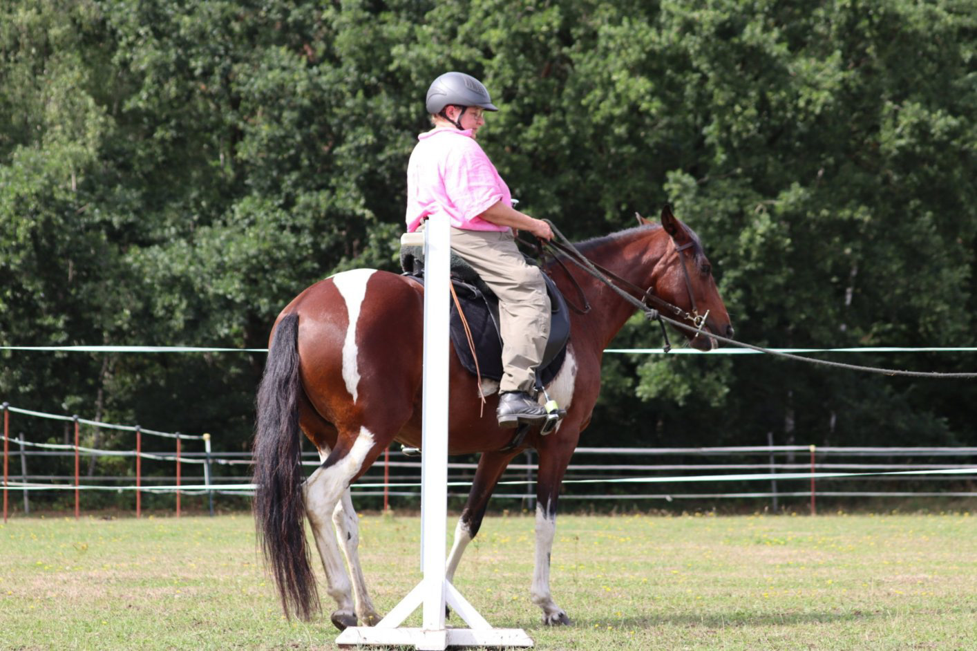 Working Equitation Mangalarga Marchador