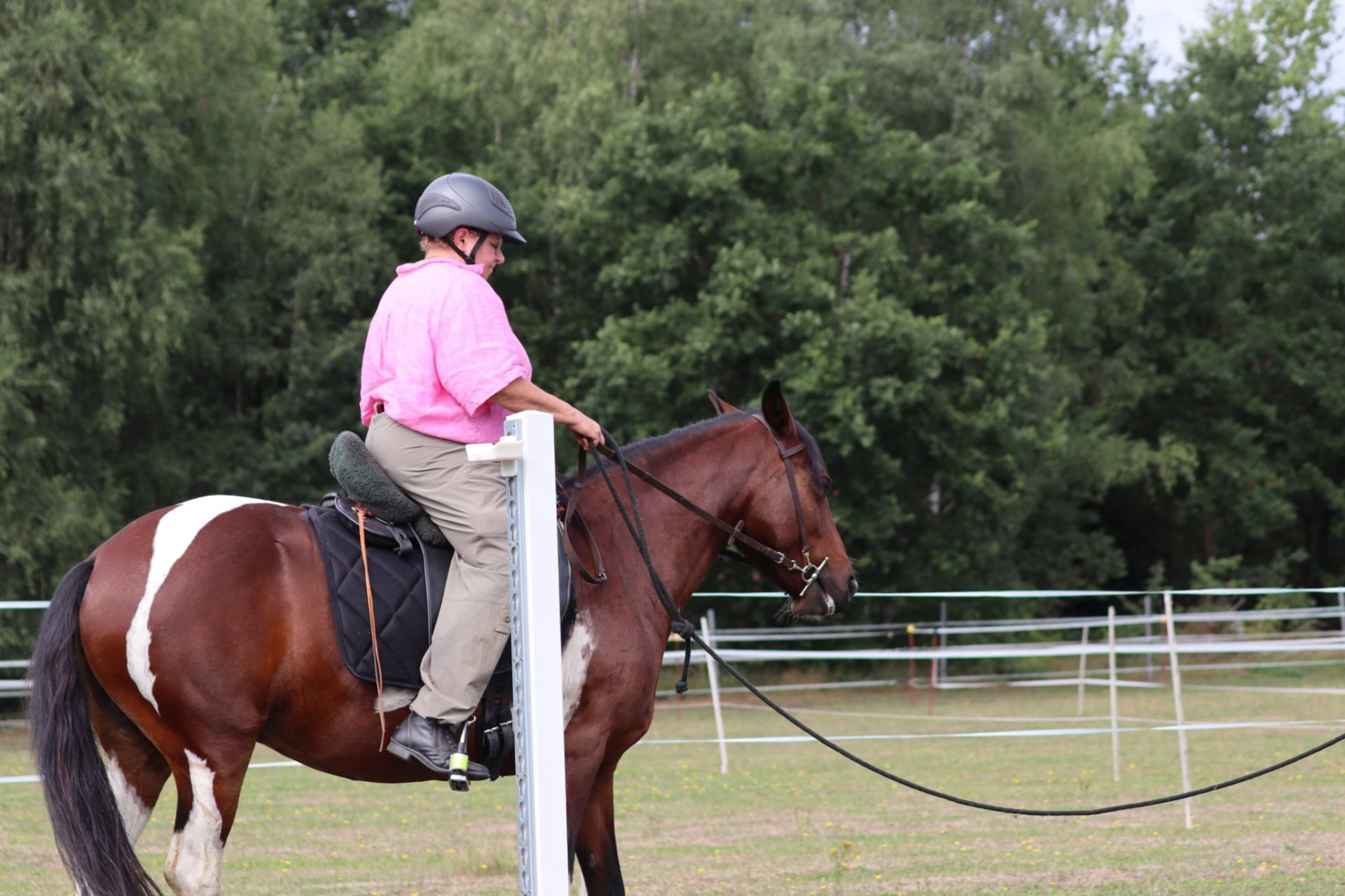 Working Equitation Mangalarga Marchador