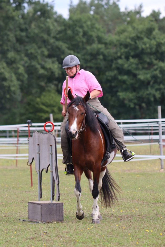 Working Equitation Mangalarga Marchador