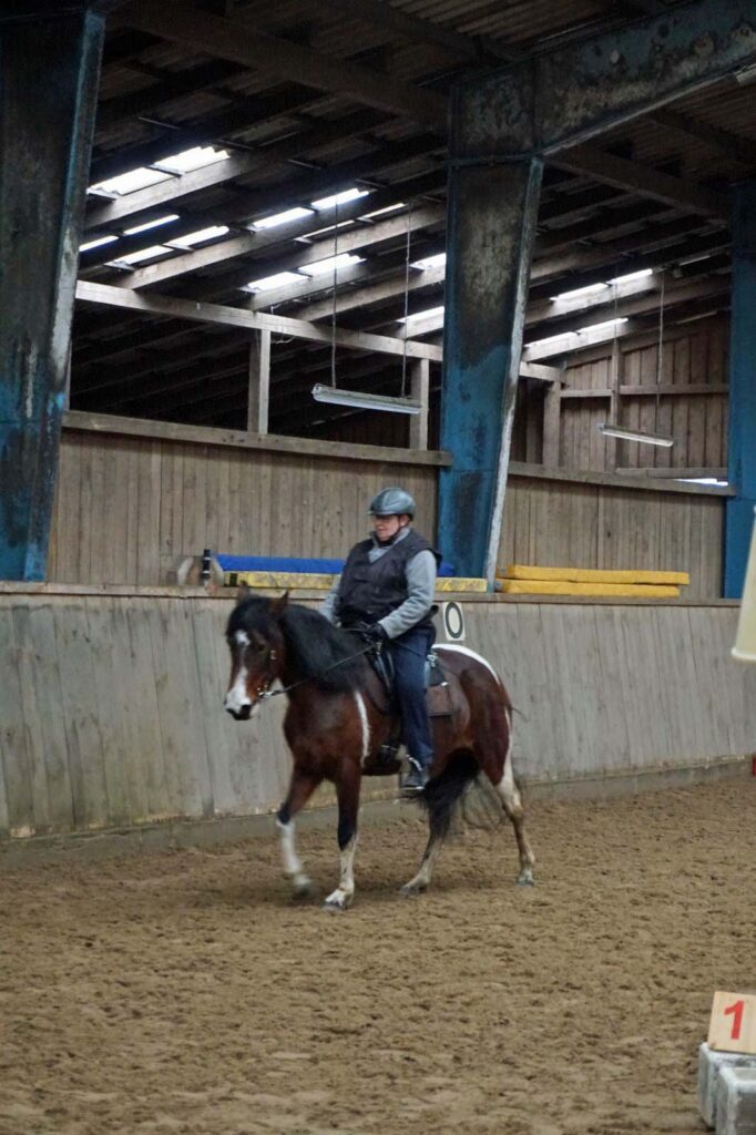 Mangalarga Marchador Working Equitation