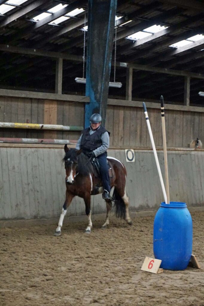 Mangalarga Marchador Working Equitation