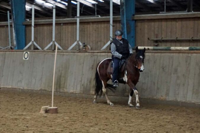 Mangalarga Marchador Working Equitation