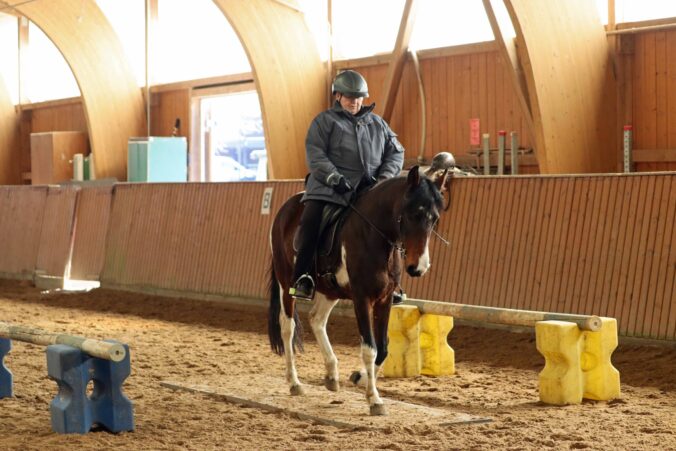 Working Equitation Mangalarga Marchador