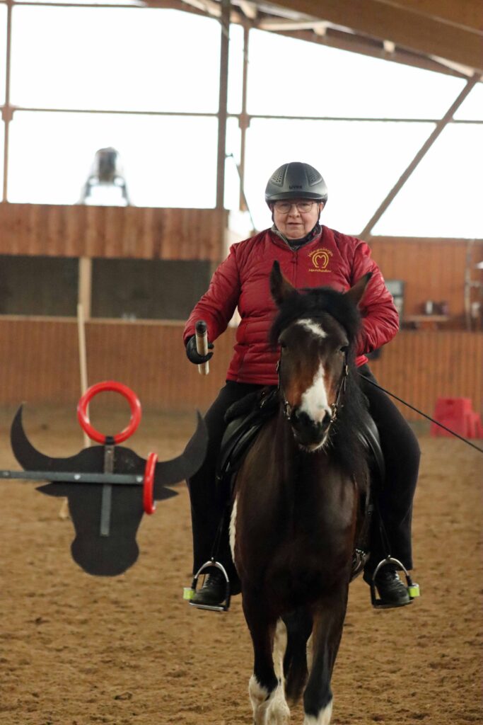 Working Equitation Mangalarga Marchador